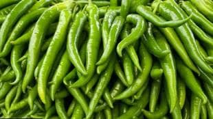 Chilli prices remain stable despite surplus stocks due to low demand in southern states