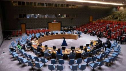 Pakistan , Security Council, Pakistan news,