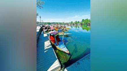War , tourism, trips canceled, loksatta news,