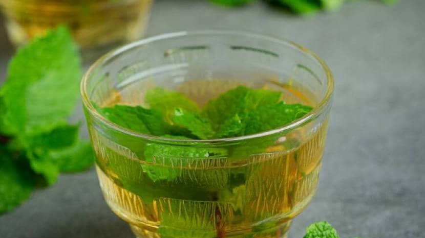 benefits of pudina juice