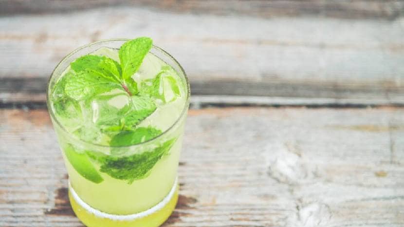 benefits of pudina juice