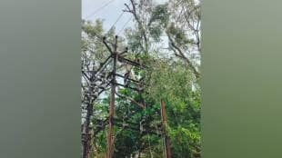 Nashik, rain , power system, damage , loksatta news,