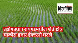 Agricultural in raigad declined news in marathi