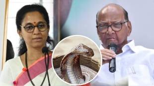 supriya sule snake loksatta news