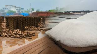 Salt industry palghar news