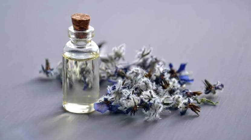 Is it beneficial to consume castor oil