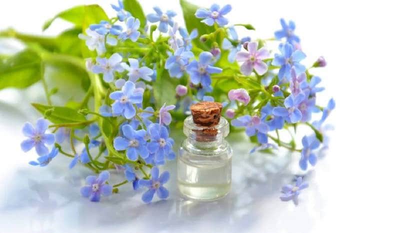 Is it beneficial to consume castor oil