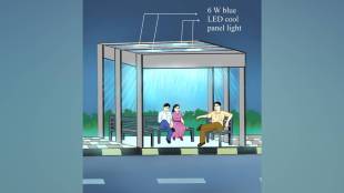 stress-free life, blue light, LED lamps, loksatta news,