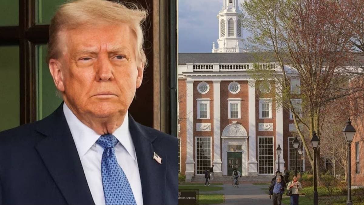 Harvard University Donald Trump