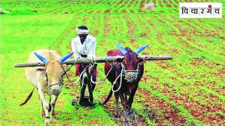 सरकार नुकसानग्रस्त शेतकऱ्यांच्या पाठीशी उभे राहील?