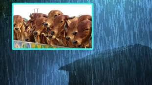 rain updates chhatrapati sambhajinagar