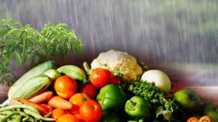 fruits and vegetables pune