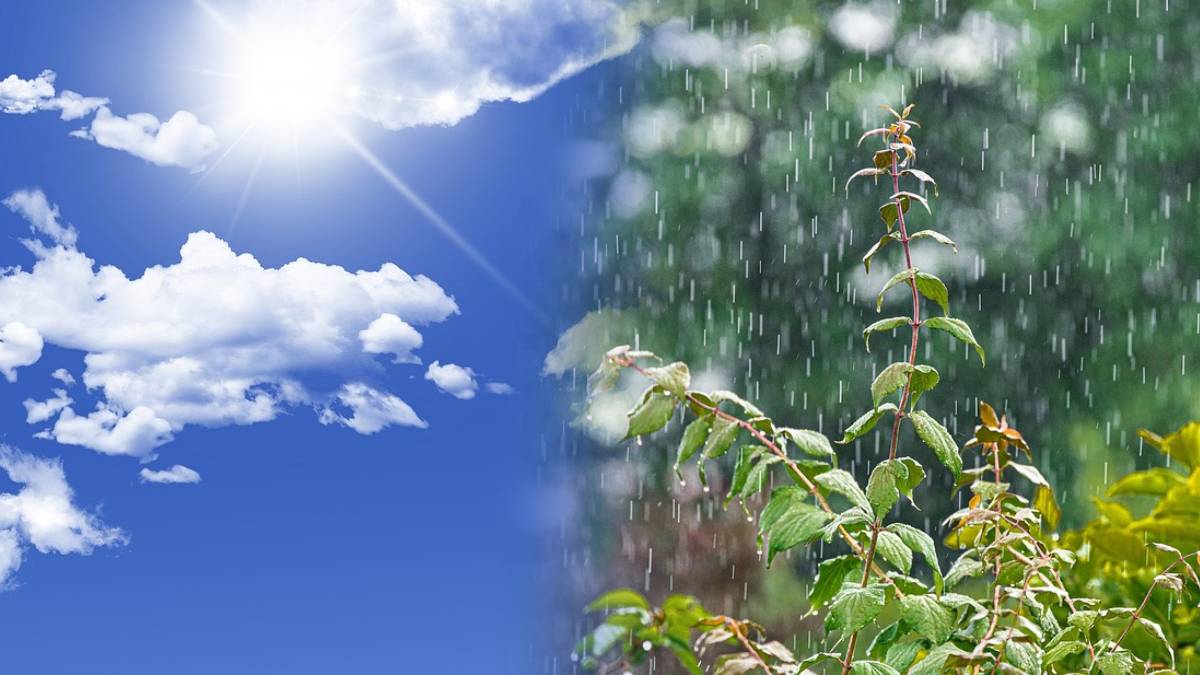 Maharashtra monsoon news in marathi