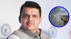 नुकसानीच्या तात्काळ पंचनाम्याचे मुख्यमंत्र्यांचे आदेश, मंत्रिमंडळ बैठकीत परिस्थितीचा आढावा