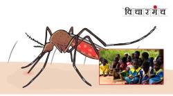 …तर आफ्रिका २०४० पर्यंत मलेरियामुक्त होईल!