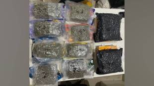 irectorate of Revenue intelligence seized hydroponic marijuana worth rs 10 crore