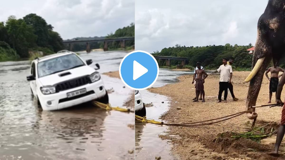 Kerala Elephant Successfully Pulls Over 2000 Kg SUV From River In Palakkad Village Video