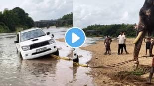 Kerala Elephant Successfully Pulls Over 2000 Kg SUV From River In Palakkad Village Video