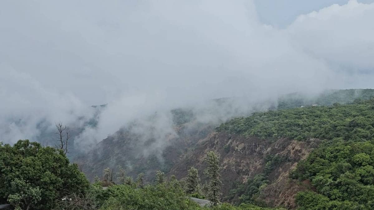 mahabaleshwar first rain brought misty beauty tourists joyfully embraced the blooming green landscape