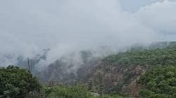 पहिल्या पावसाने महाबळेश्वर धुक्याने फुलले