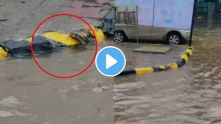 Navi mumbai viral video of snake found in rain water on road shocking video goes viral