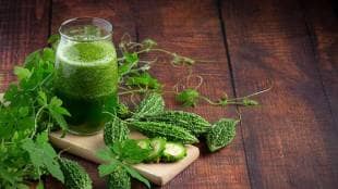 Why You Should Start Your Day With Bitter Gourd Juice karela Benefits in marathi