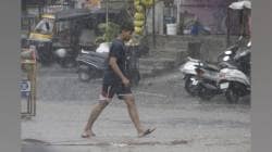 पुण्यात मुसळधार; पाच ठिकाणी झाडे काेसळली