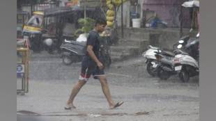 pune heavy rains caused tree falls at five spots firefighters cleared branches and restarted traffic