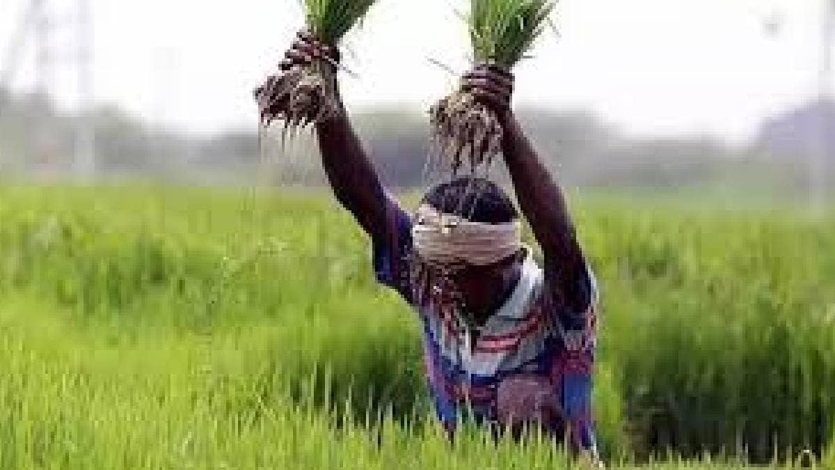 Kharif season nearing thane begins fertilizer seed supply six flying squads deployed