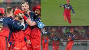 Punjab Kings Lost Quick Wickets Virat Kohli Celebration and RCB Bowling Video Viral PBKS vs RCB IPL 2025