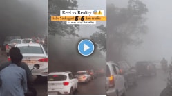 शनिवार रविवारी सिंहगडावर फिरायला जाण्याचा विचार करताय? थांबा, आधी हा Viral Video बघा