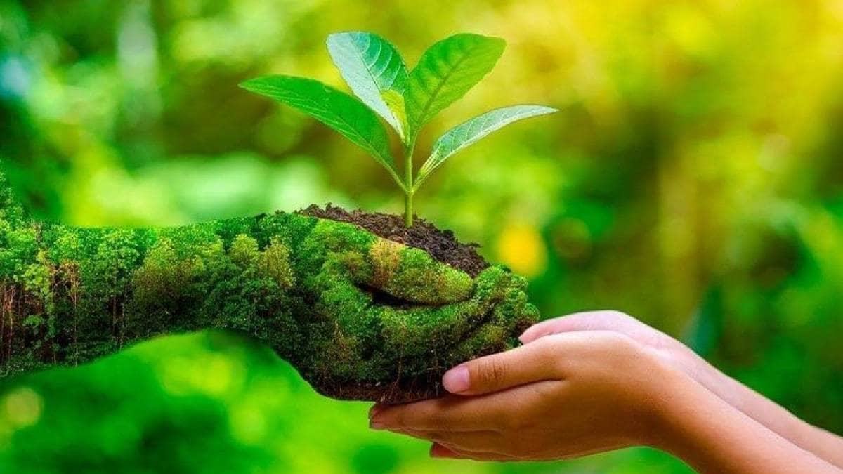 Pune Environment Forum has demanded that the state government should allow construction on these sites in the BDP area on the condition of planting trees