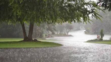 Rains continue to increase in Marathwada and heavy rains began in Hingoli on Friday evening