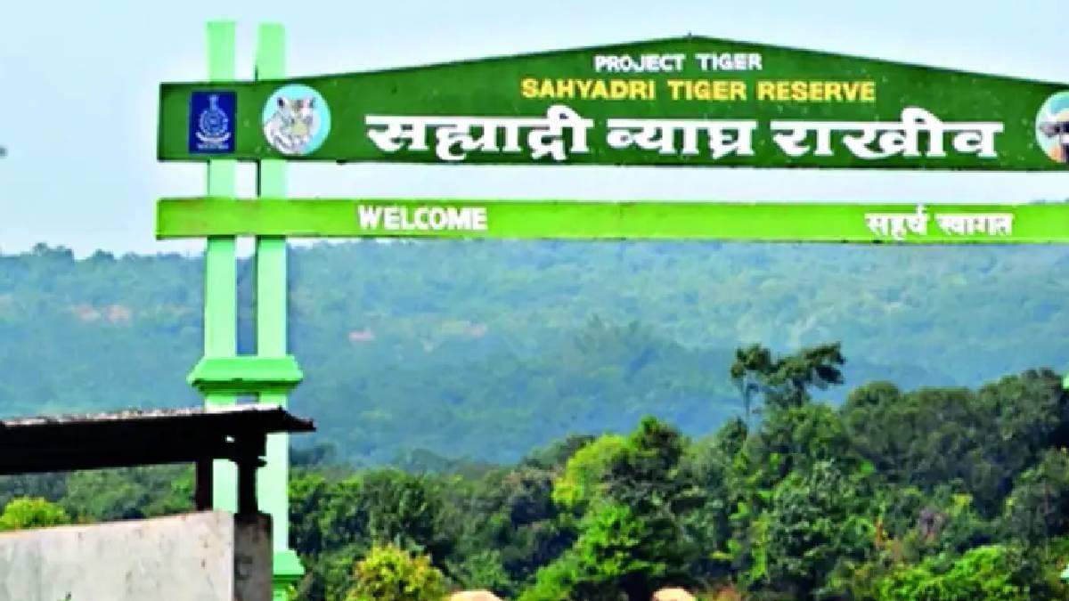 Tired of the suffering of tribals project victims present a demand to the Deputy Director the suffering of Sahyadri Tiger Project victims