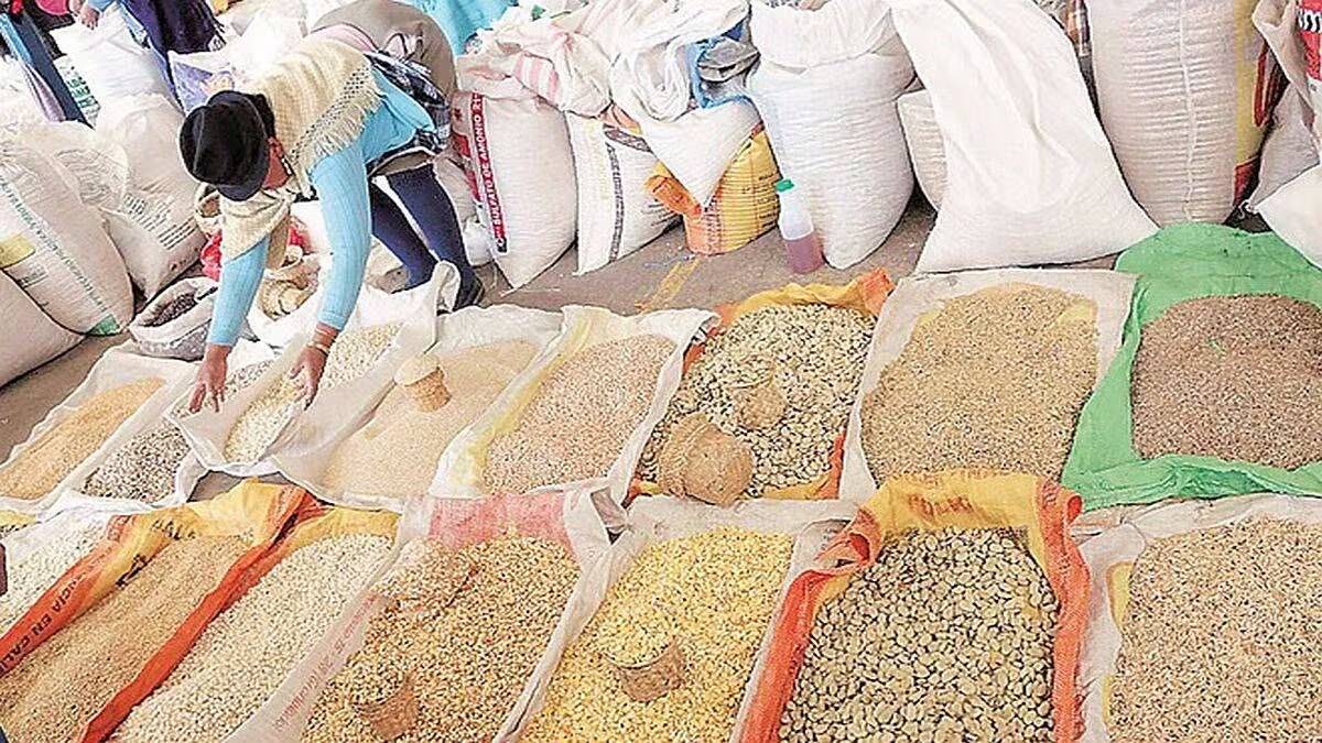 Report on action taken by flying squads to monitor sale of seeds and fertilizers submitted to the Guardian Minister