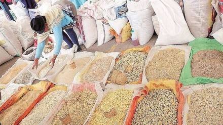 Report on action taken by flying squads to monitor sale of seeds and fertilizers submitted to the Guardian Minister
