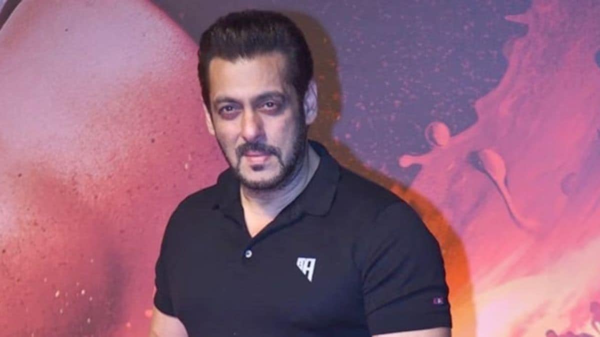 actor shehzad khan says about why salman khan movies not getting success on box office