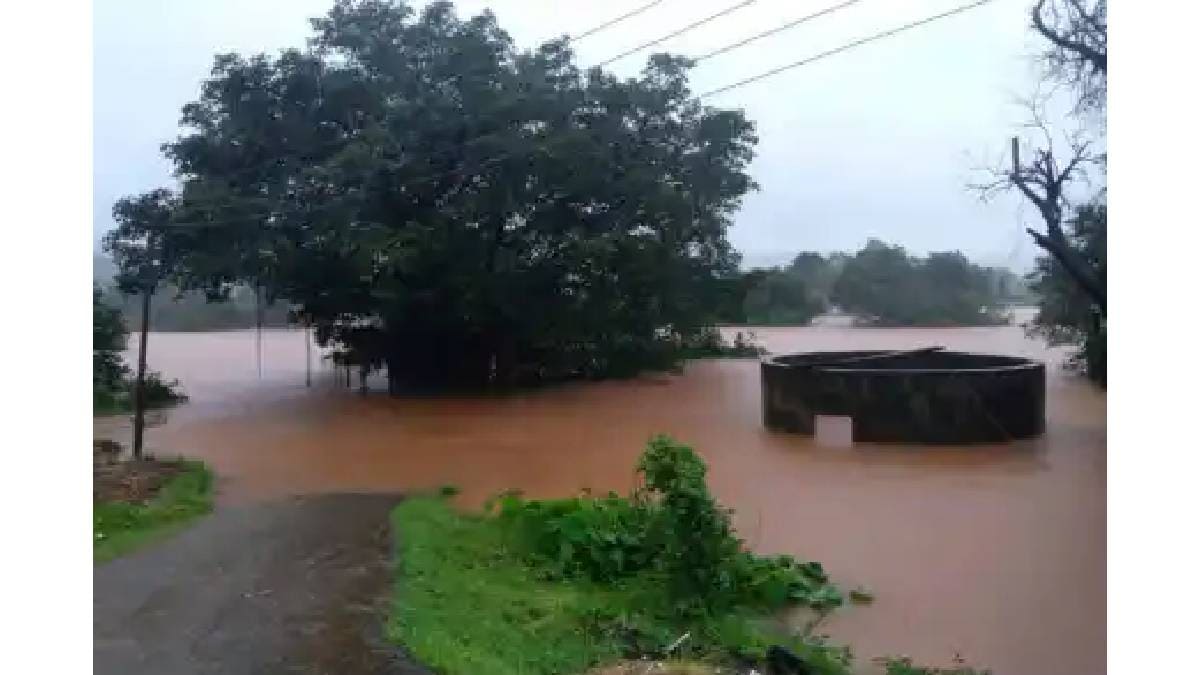 Six animals have died and 60 houses have been damaged due to rains in Satara so far