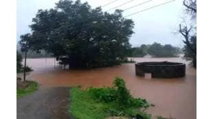 Six animals have died and 60 houses have been damaged due to rains in Satara so far