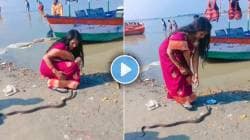 नदीकाठी महिला पूजा करताना मागून किंग कोब्रा फणा वर करीत आला अन्…; भयावह VIDEO VIRAL