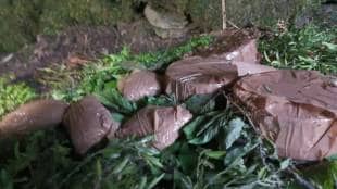 Terror Hideout Busted
