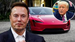 Tesla sales decline Europe