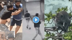 Trending News Live Updates: पुण्यात हॉर्न वाजवला म्हणून फ्रीस्टाईल हाणामारी; भारतीय सैन्याने पाकिस्तानवर खरंच गोळीबार केला का? माकडानं पळवला दीड लाखांचा आयफोन