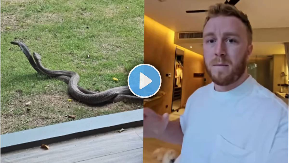 Tourist Spots King Cobras Outside Hotel Room