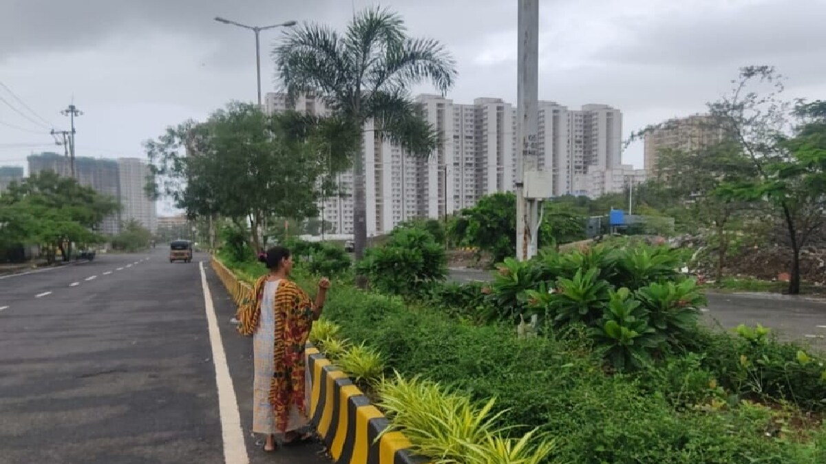 Vasai Virar Municipal corporation plans to plant 53000 ornamental trees on the dividers