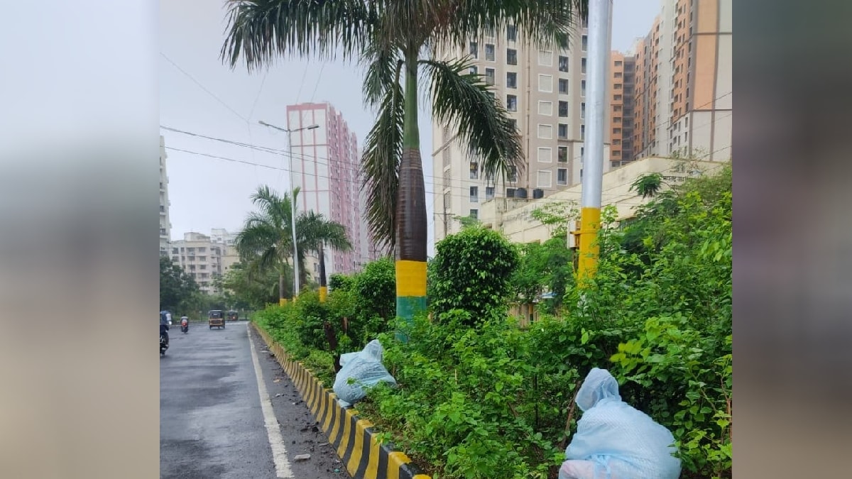 Vasai Virar Municipal corporation tree census delayed
