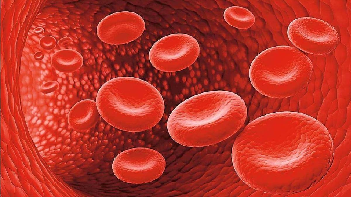 Thalassemia , Blood , Death , Blood Bank ,