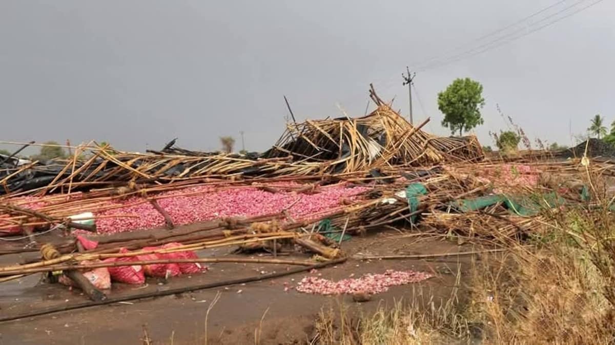 Two people died, rain , Nashik district, onion damaged,