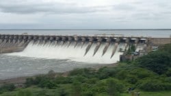 उजनी धरणातील जलप्रदूषणामुळे सोलापूरकरांचे आरोग्य धोक्यात, डॉ. राजेंद्रसिंह यांची खंत