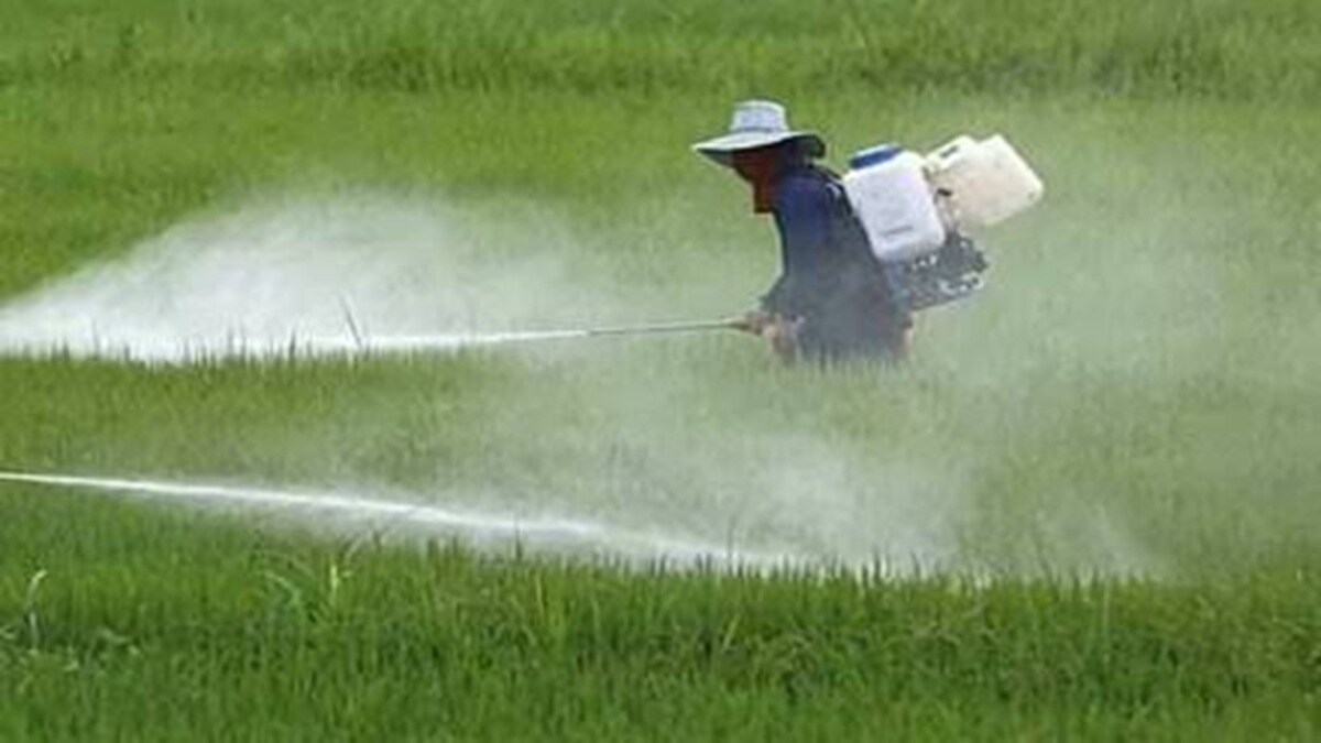 samples seeds, fertilizers, pesticides uncertified,